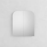 Nico Bathroom Cabinet Mirror - Non Recessed